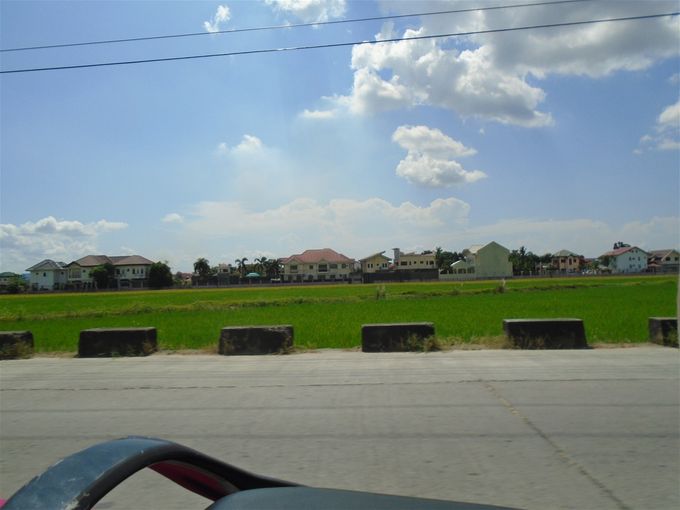 Ricefield and an exclusive subdivision