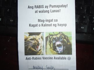 My scary rabies vaccine pamphlet, which contains my schedule for shots. That is not my handwriting.